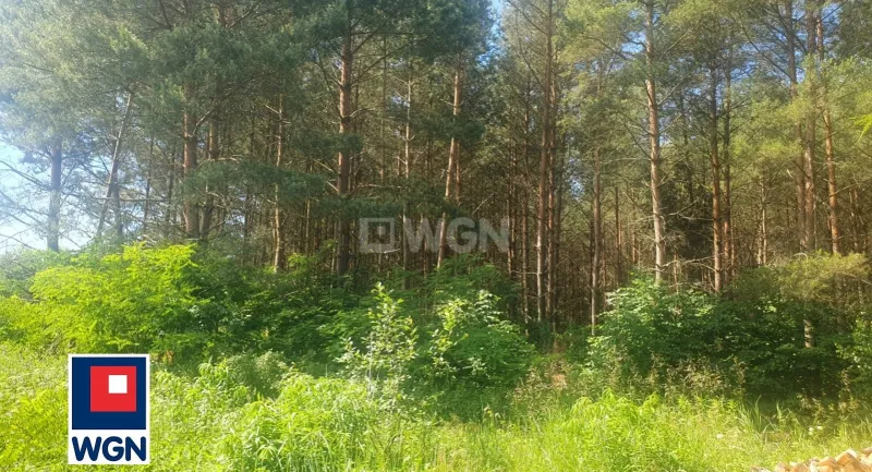 Działka na sprzedaż Prabuty